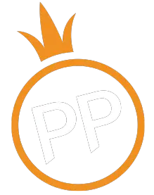 pp电子 Logo